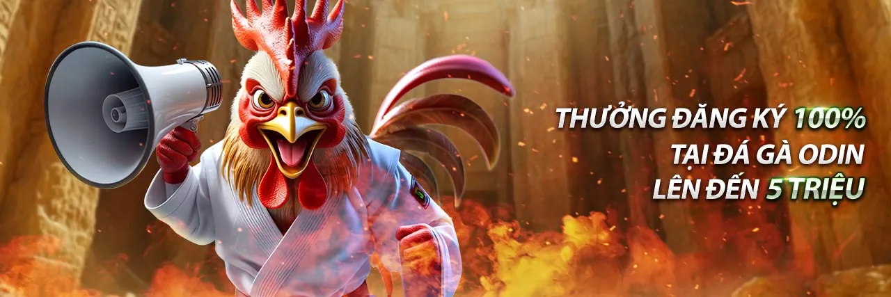 Xu hướng cá cược trực tuyến 2026